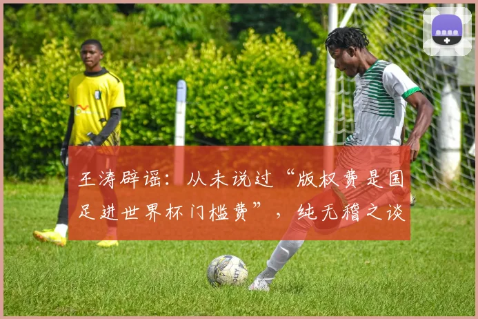 王涛辟谣：从未说过“版权费是国足进世界杯门槛费”，纯无稽之谈