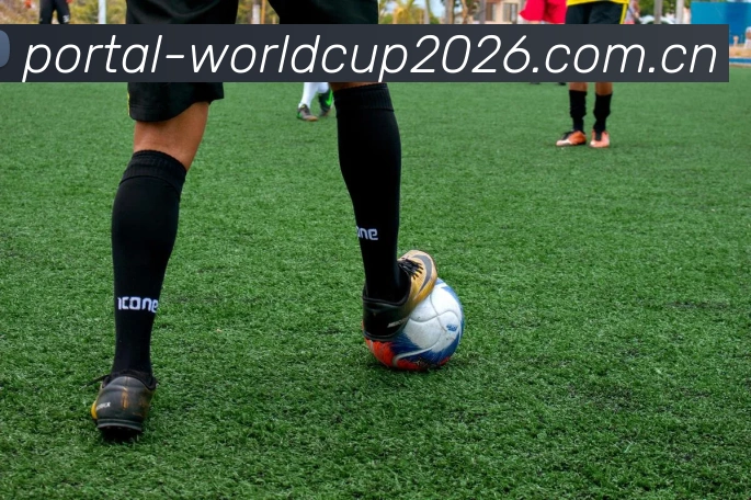 世界杯买球网站平台生态图