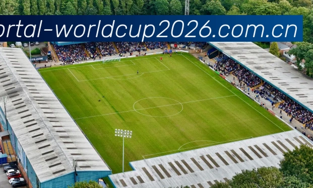 世界杯买球网站APP 封面图